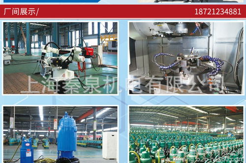 防爆抽水泵厂用隔爆泵50WQB15-15-1.5 煤矿防爆潜水泵核心型号参数解析与网络技术服务支持