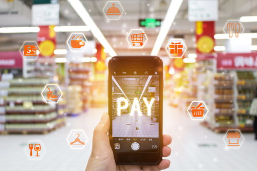 双创科技新引擎 网络技术服务驱动东家提速发展